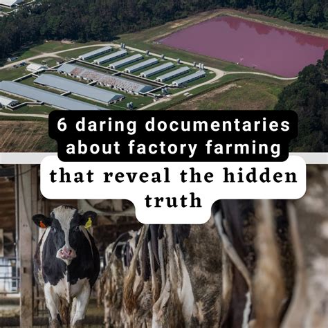 what are factory farms hiding see for yourself